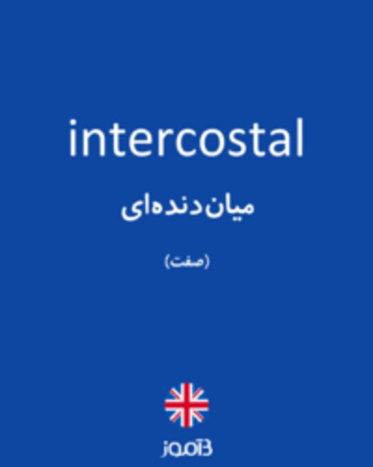  تصویر intercostal - دیکشنری انگلیسی بیاموز