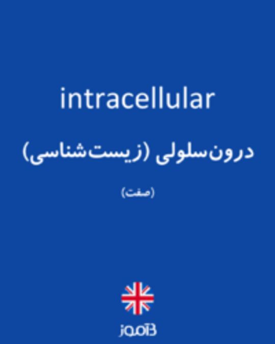  تصویر intracellular - دیکشنری انگلیسی بیاموز