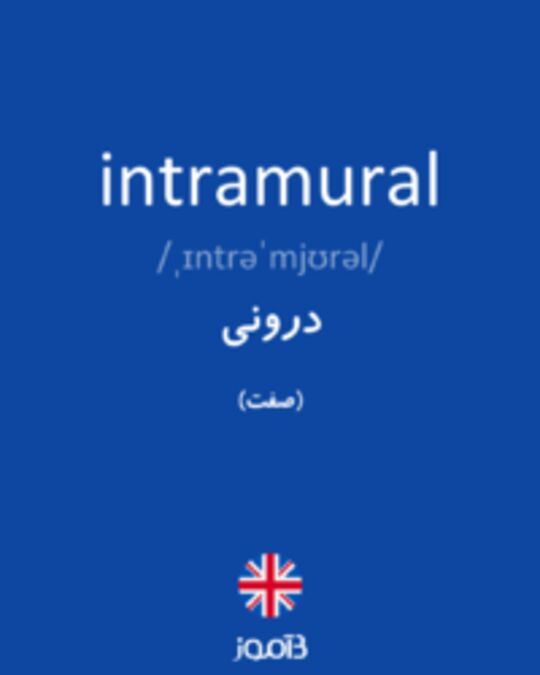  تصویر intramural - دیکشنری انگلیسی بیاموز