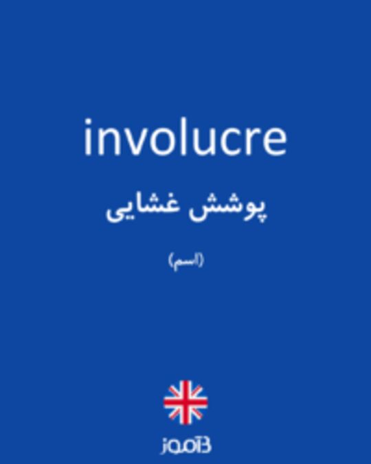  تصویر involucre - دیکشنری انگلیسی بیاموز