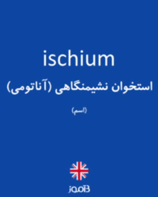  تصویر ischium - دیکشنری انگلیسی بیاموز