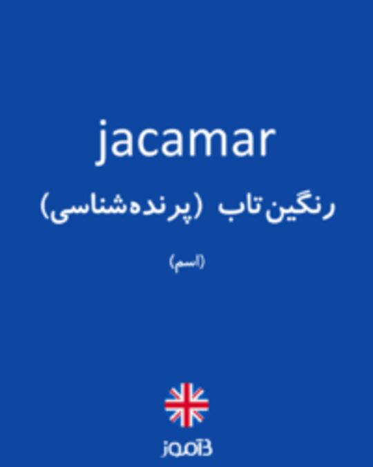  تصویر jacamar - دیکشنری انگلیسی بیاموز