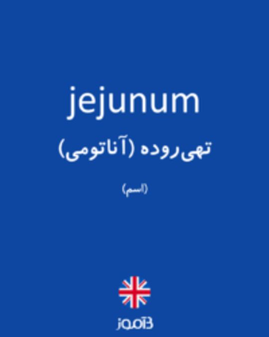  تصویر jejunum - دیکشنری انگلیسی بیاموز