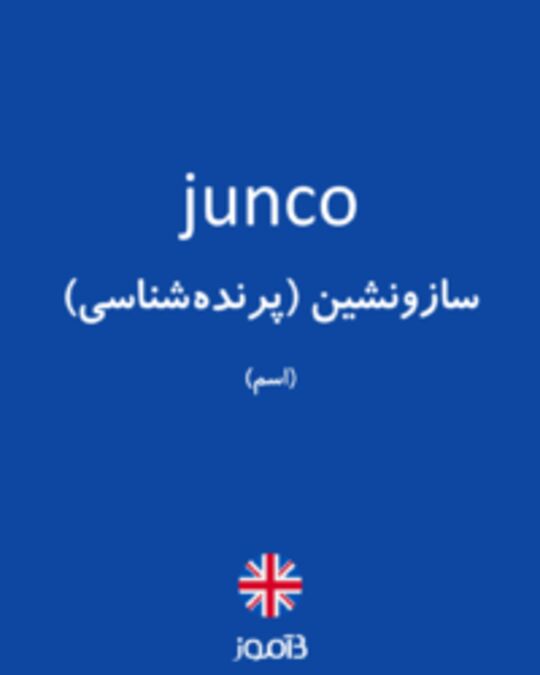  تصویر junco - دیکشنری انگلیسی بیاموز