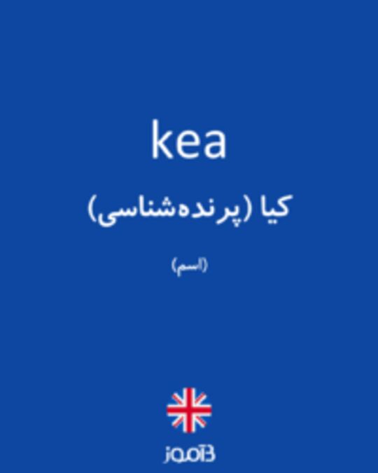  تصویر kea - دیکشنری انگلیسی بیاموز