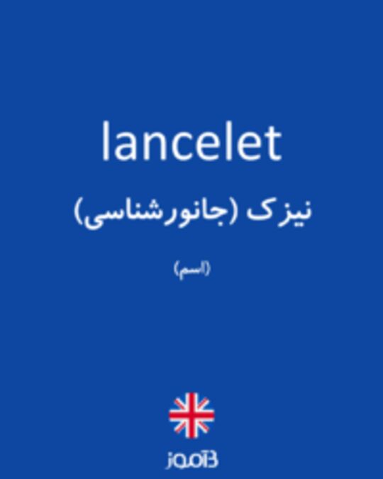  تصویر lancelet - دیکشنری انگلیسی بیاموز