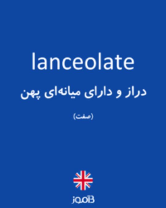  تصویر lanceolate - دیکشنری انگلیسی بیاموز