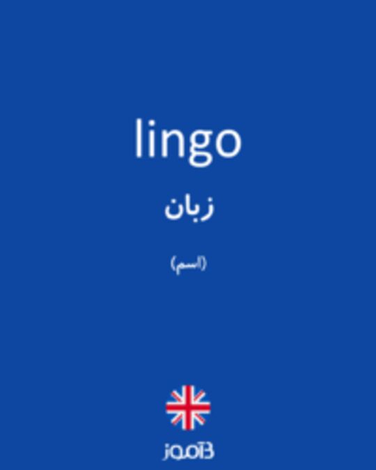  تصویر lingo - دیکشنری انگلیسی بیاموز