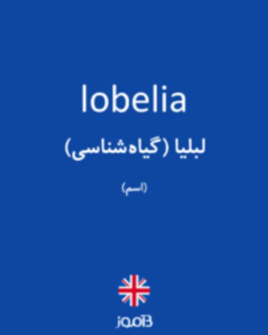  تصویر lobelia - دیکشنری انگلیسی بیاموز