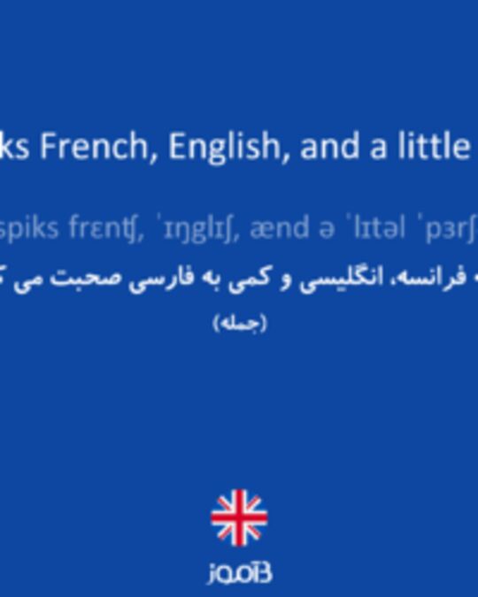  تصویر He speaks French, English, and a little Persian. - دیکشنری انگلیسی بیاموز