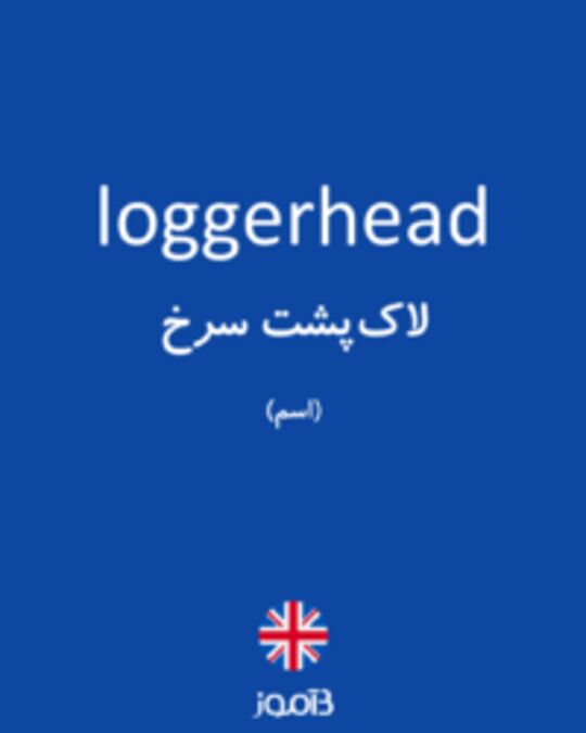  تصویر loggerhead - دیکشنری انگلیسی بیاموز