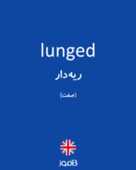  تصویر lunged - دیکشنری انگلیسی بیاموز