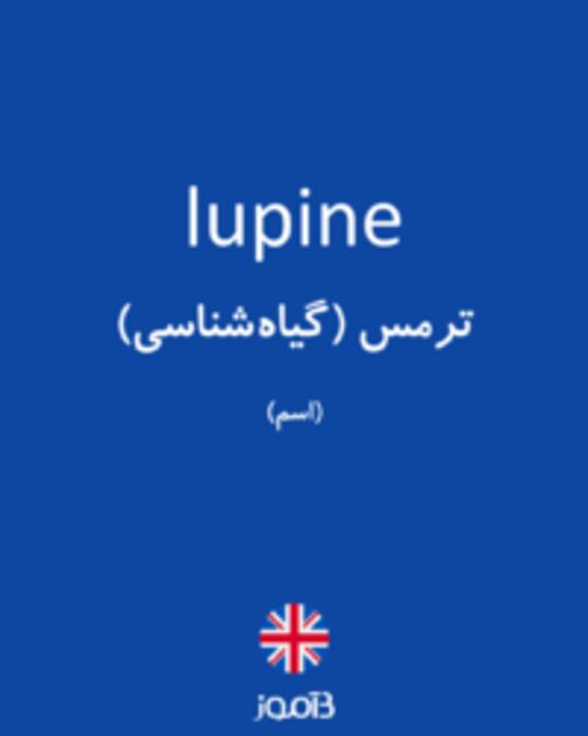  تصویر lupine - دیکشنری انگلیسی بیاموز