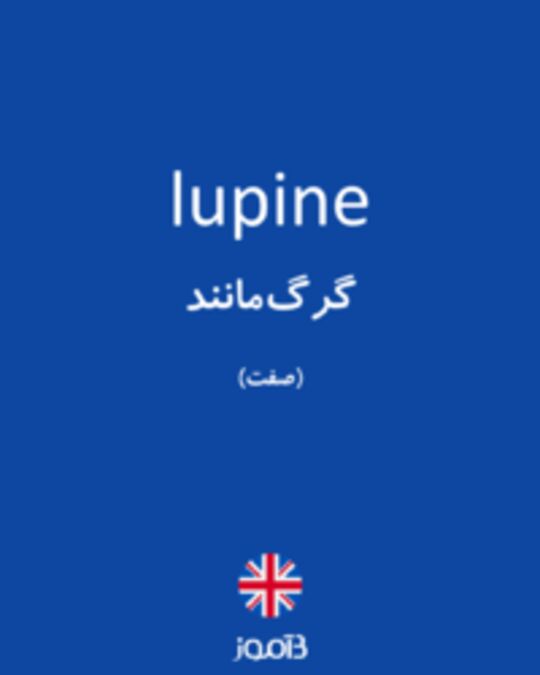  تصویر lupine - دیکشنری انگلیسی بیاموز