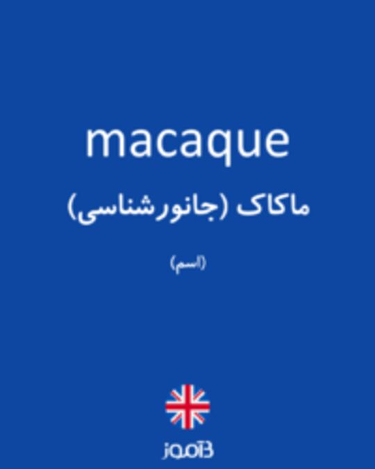  تصویر macaque - دیکشنری انگلیسی بیاموز