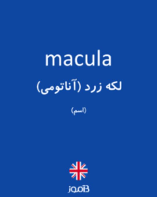  تصویر macula - دیکشنری انگلیسی بیاموز