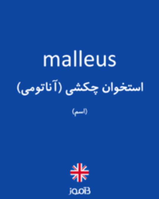  تصویر malleus - دیکشنری انگلیسی بیاموز