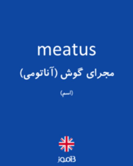  تصویر meatus - دیکشنری انگلیسی بیاموز