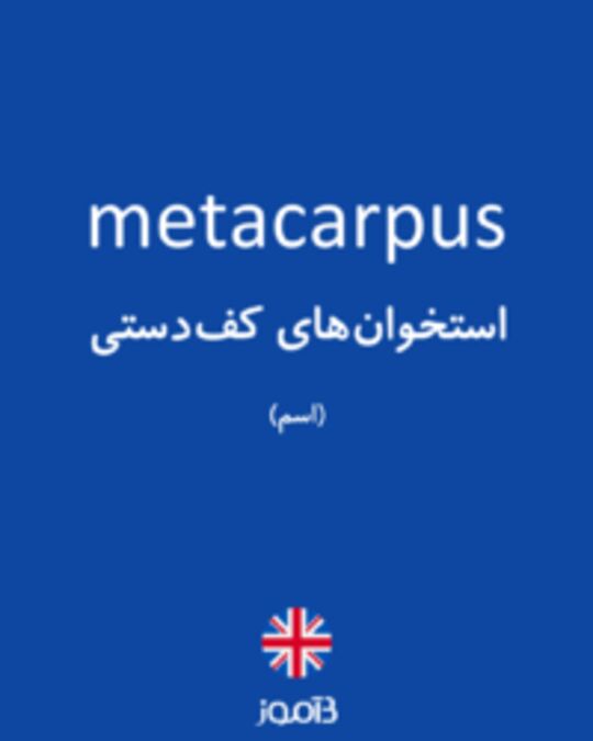  تصویر metacarpus - دیکشنری انگلیسی بیاموز