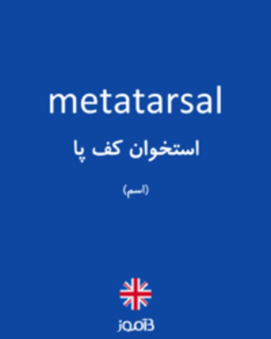  تصویر metatarsal - دیکشنری انگلیسی بیاموز