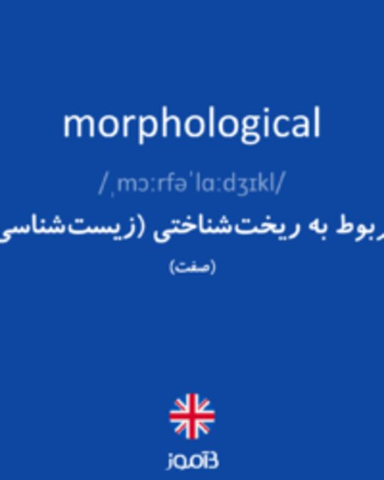  تصویر morphological - دیکشنری انگلیسی بیاموز