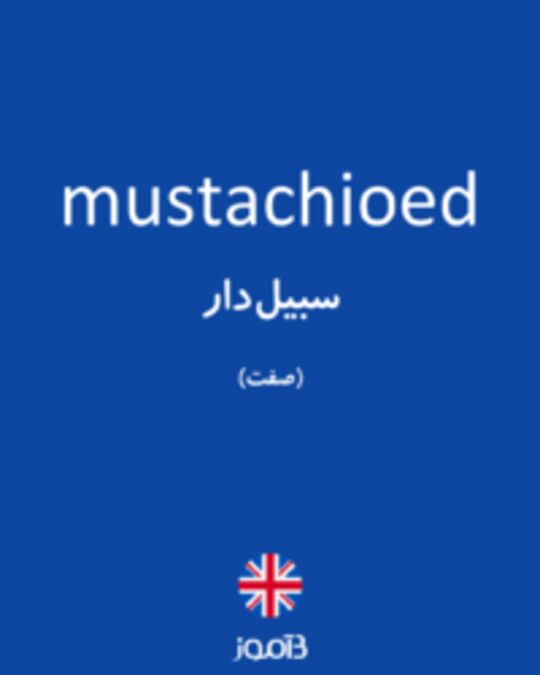  تصویر mustachioed - دیکشنری انگلیسی بیاموز