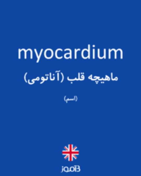  تصویر myocardium - دیکشنری انگلیسی بیاموز