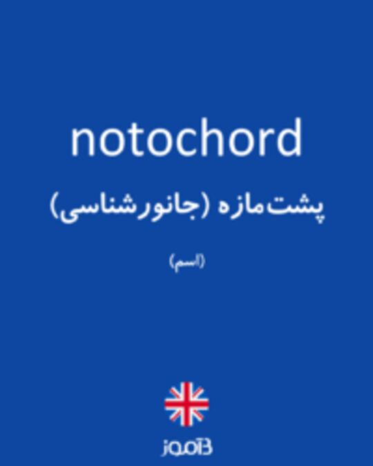  تصویر notochord - دیکشنری انگلیسی بیاموز