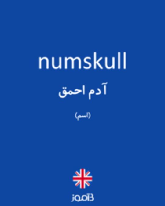  تصویر numskull - دیکشنری انگلیسی بیاموز