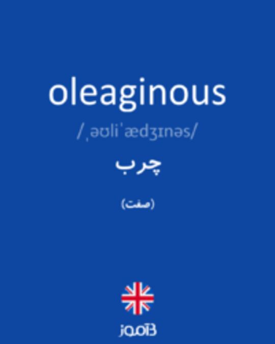  تصویر oleaginous - دیکشنری انگلیسی بیاموز