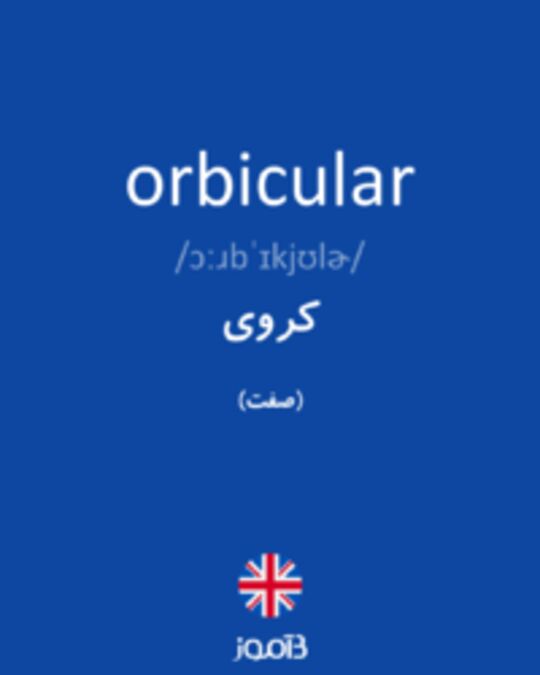  تصویر orbicular - دیکشنری انگلیسی بیاموز