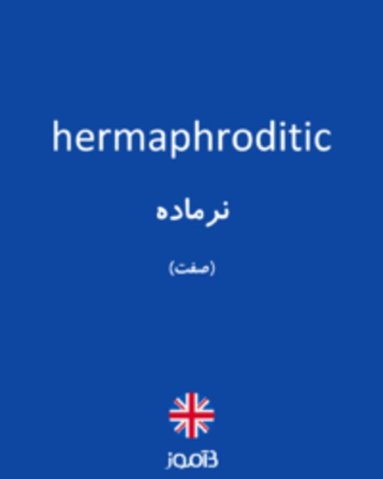  تصویر hermaphroditic - دیکشنری انگلیسی بیاموز