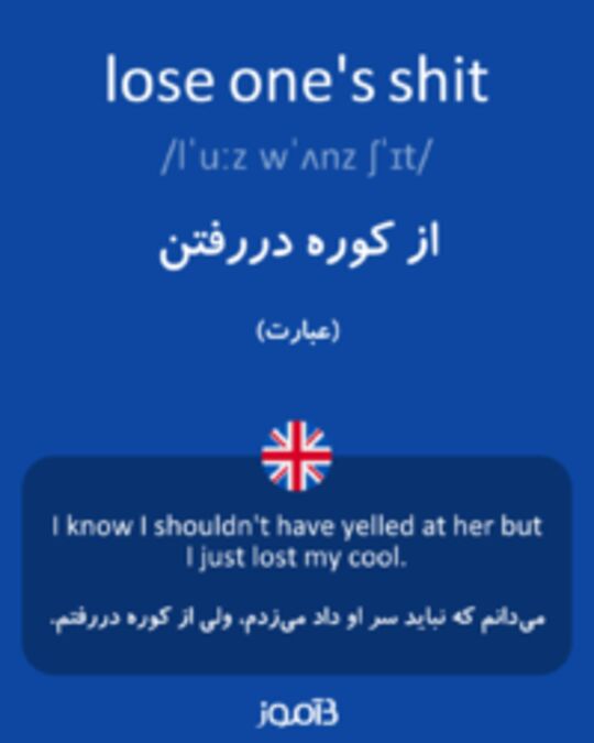  تصویر lose one's shit - دیکشنری انگلیسی بیاموز