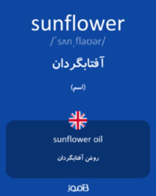  تصویر sunflower - دیکشنری انگلیسی بیاموز