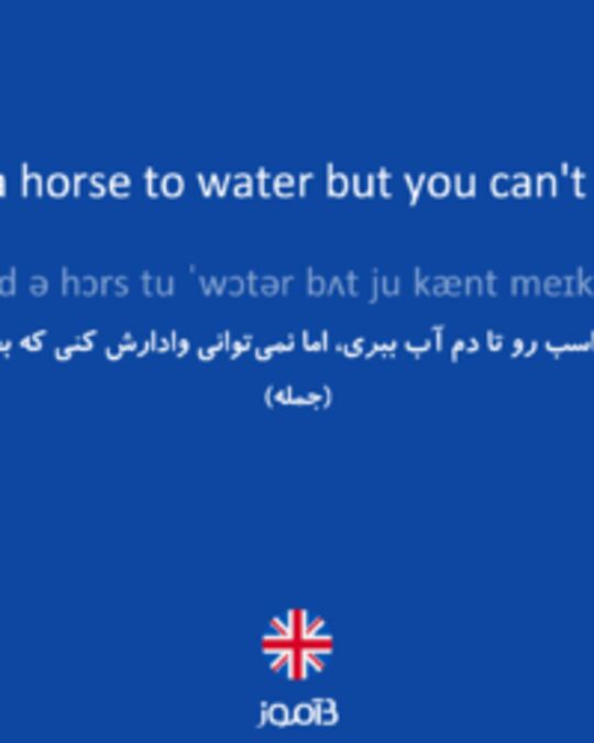  تصویر You can lead a horse to water but you can't make it drink. - دیکشنری انگلیسی بیاموز