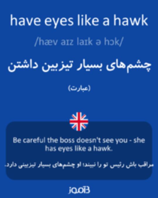  تصویر have eyes like a hawk - دیکشنری انگلیسی بیاموز