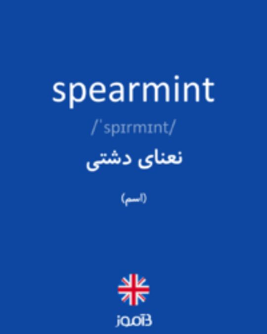  تصویر spearmint - دیکشنری انگلیسی بیاموز