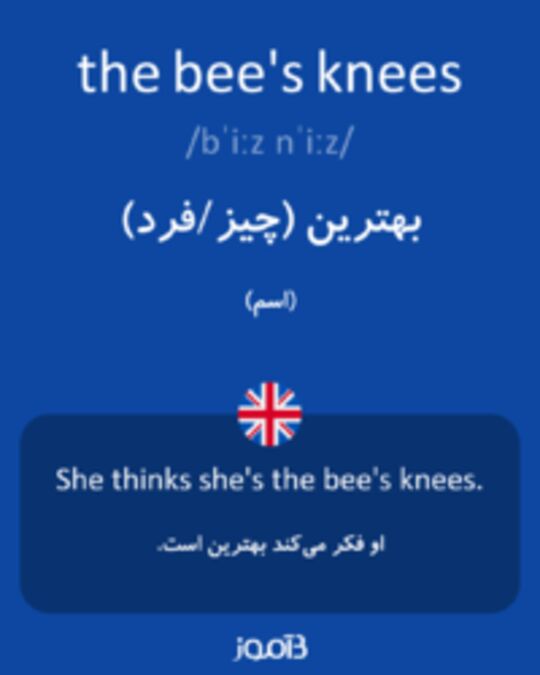  تصویر the bee's knees - دیکشنری انگلیسی بیاموز