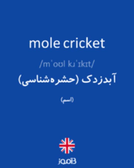  تصویر mole cricket - دیکشنری انگلیسی بیاموز