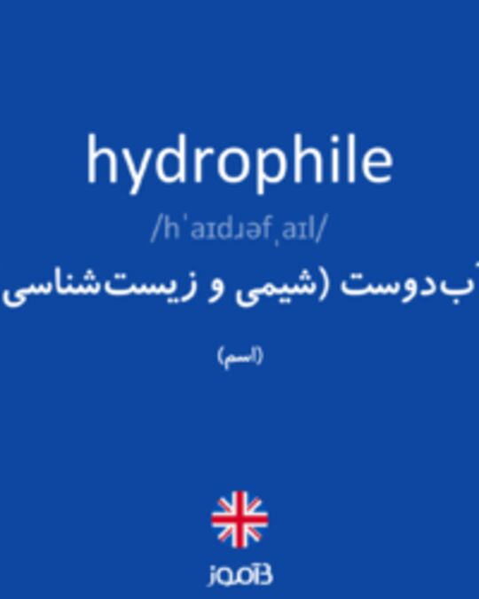  تصویر hydrophile - دیکشنری انگلیسی بیاموز