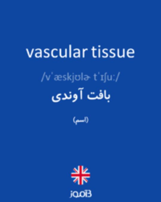  تصویر vascular tissue - دیکشنری انگلیسی بیاموز