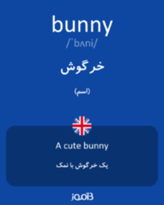  تصویر bunny - دیکشنری انگلیسی بیاموز