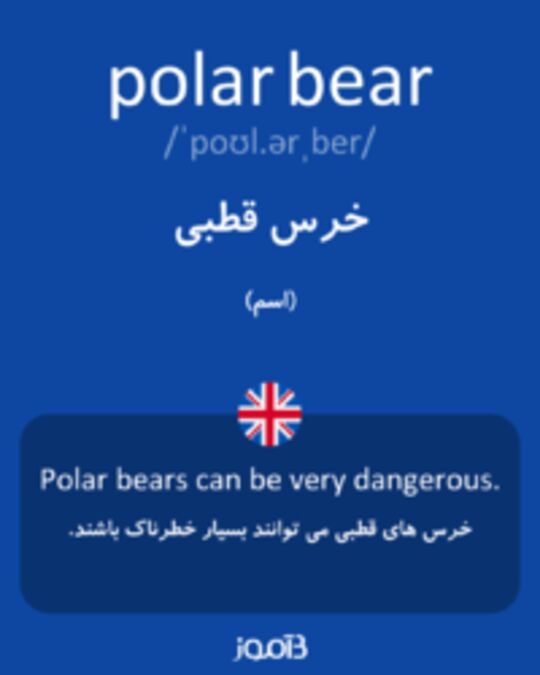  تصویر polar bear - دیکشنری انگلیسی بیاموز