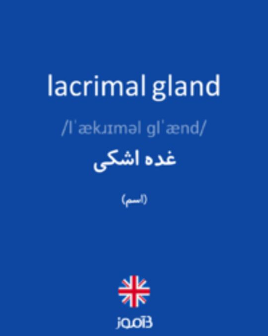  تصویر lacrimal gland - دیکشنری انگلیسی بیاموز