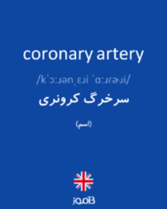  تصویر coronary artery - دیکشنری انگلیسی بیاموز