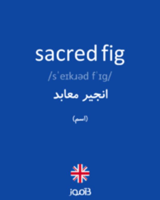  تصویر sacred fig - دیکشنری انگلیسی بیاموز