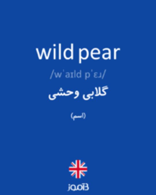  تصویر wild pear - دیکشنری انگلیسی بیاموز