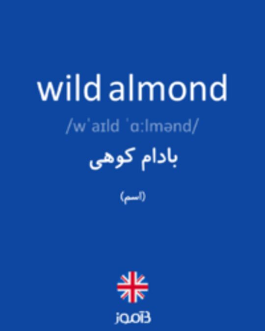  تصویر wild almond - دیکشنری انگلیسی بیاموز