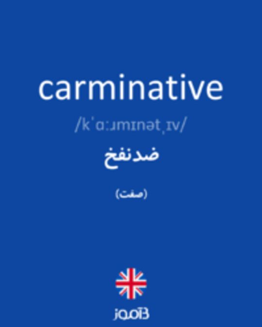  تصویر carminative - دیکشنری انگلیسی بیاموز