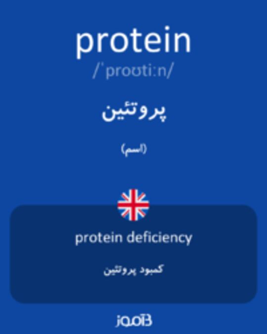  تصویر protein - دیکشنری انگلیسی بیاموز